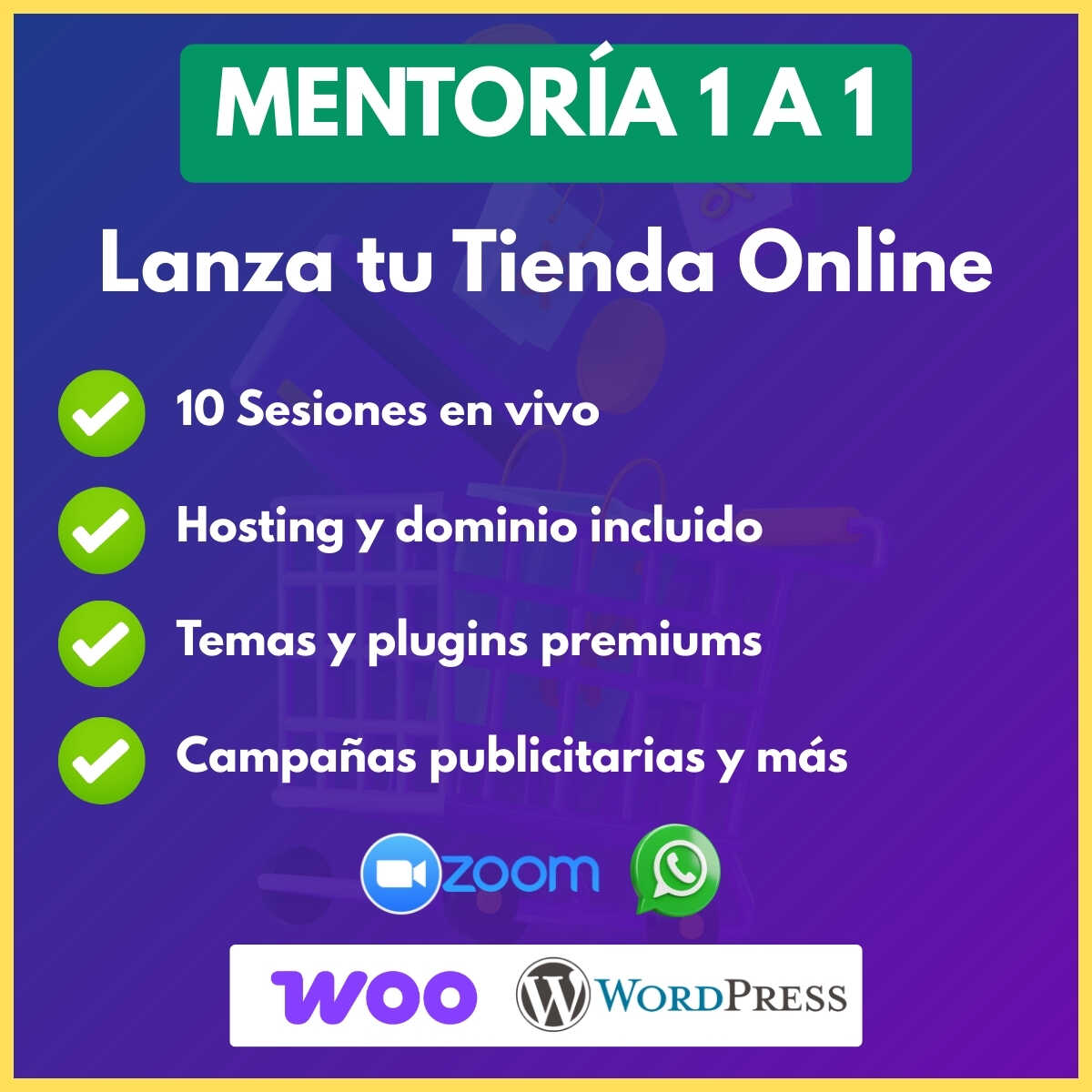 Programa de Lanzamiento E-commerce (1 a 1)