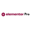 Elementor Pro