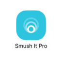 WP Smush Pro